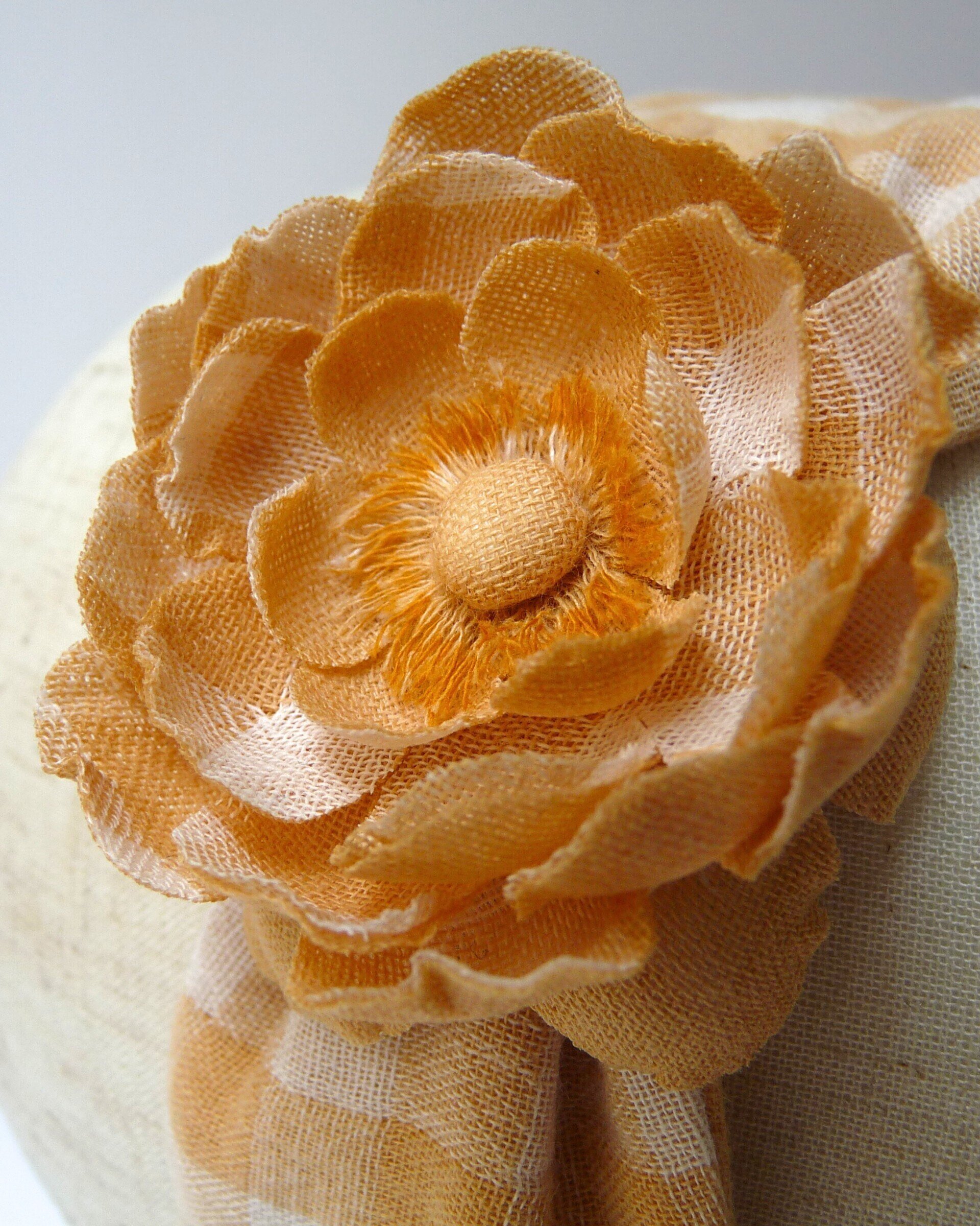 Rosa Rugosa · Vichy · Fruncido - 3