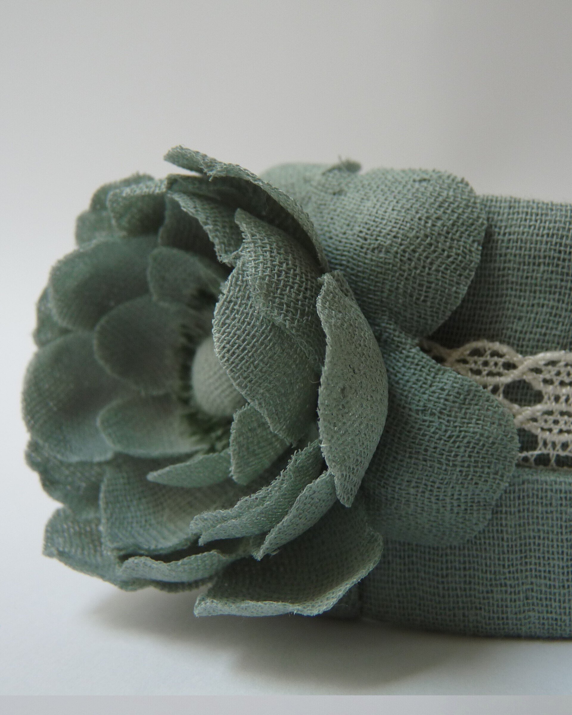 Rosa Rugosa · Turquesa · Puntilla - 4